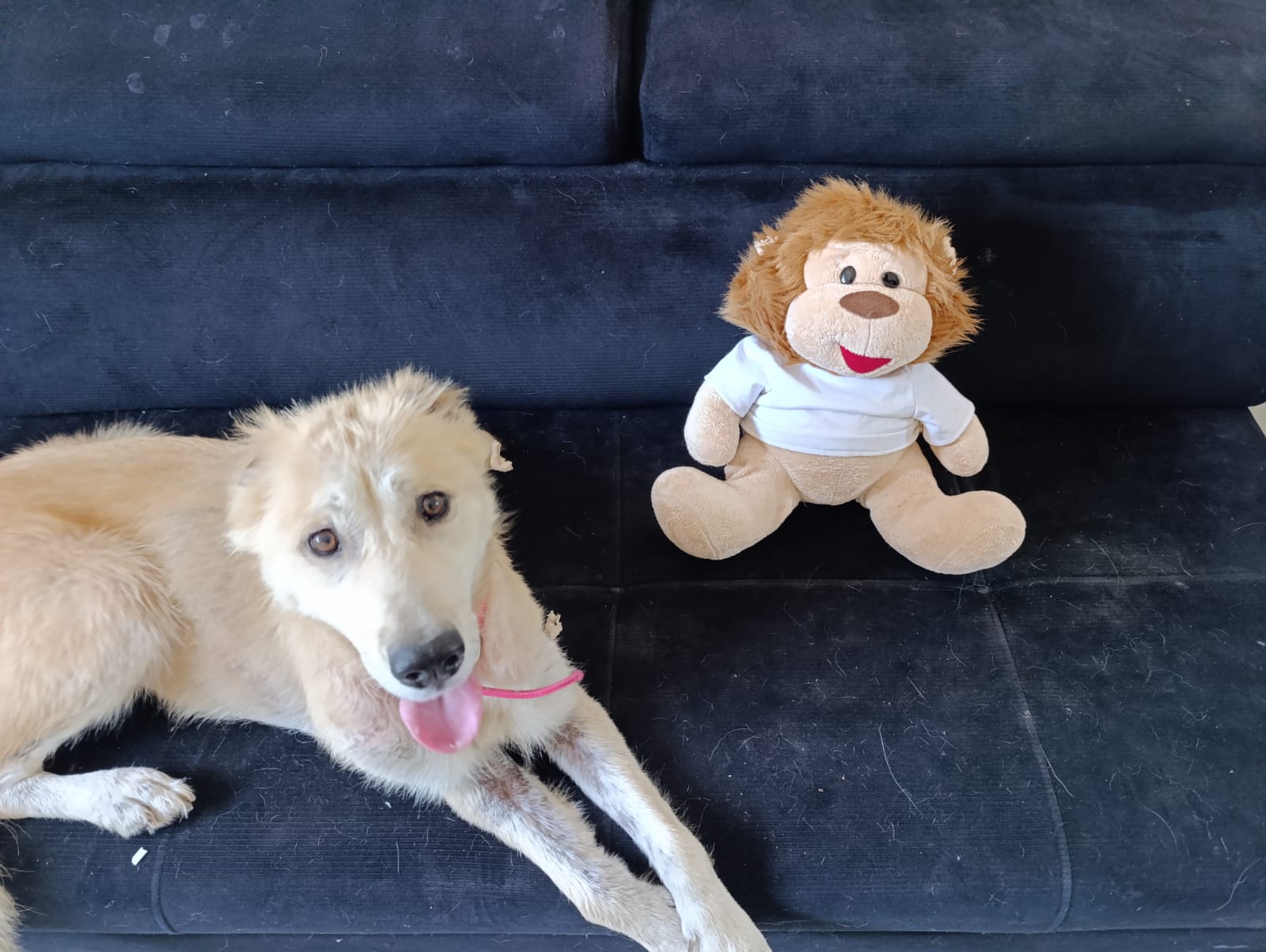 WhatsApp Image 2026-08-11 at 13.55.32