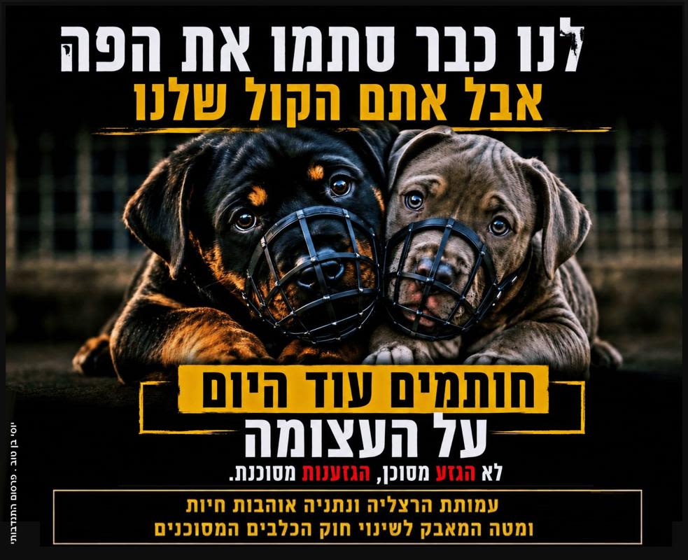 עמותת הרצליה ונתניה אוהבות חיות | עצומה: מצילים את הכלבים "המסוכנים"