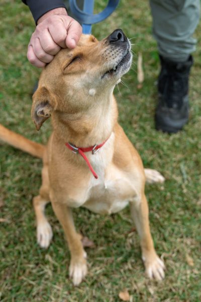 ג'ולי מתפנקת