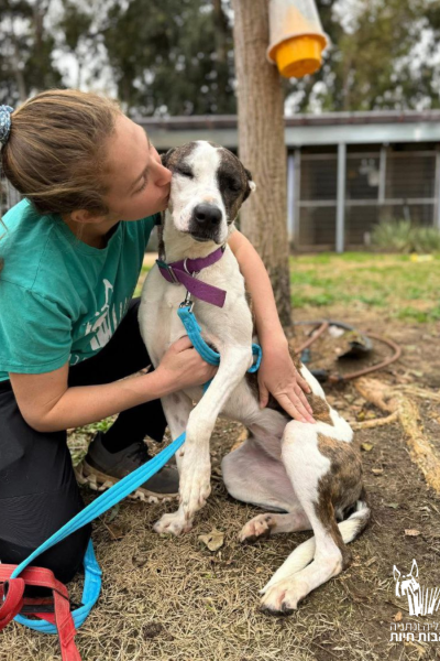 קוקי עם בן אדם1