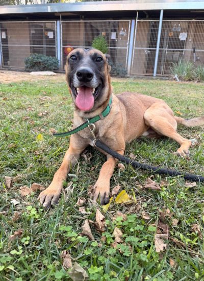 2יוני- נתניה