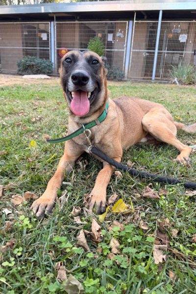 2יוני- נתניה