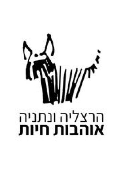 אימוץ חתולים, אימוץ כלב, התנדבות בכלבייה, התנדבות עם בעלי חיים, התנדבות עם כלבים, חתול לאימוץ, חתולים לאימוץ, חתלתולים לאימוץ, כלבים לאימוץ, כלבים קטנים למסירה או אימוץ, לאמץ כלב