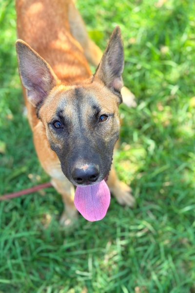 PHOTO-2025-08-26-15-05-57