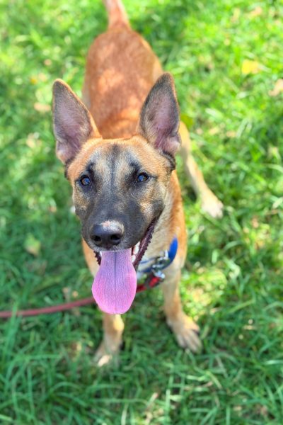 PHOTO-2025-08-26-15-05-58