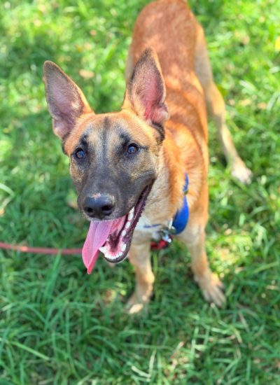 PHOTO-2025-08-26-15-05-59