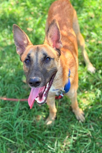 PHOTO-2025-08-26-15-05-59