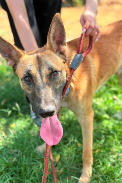 PHOTO-2025-08-26-15-06-00