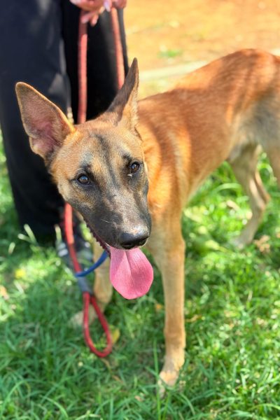 PHOTO-2025-08-26-15-06-00(1)