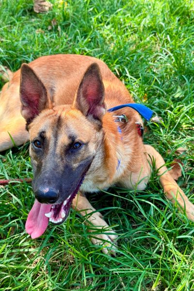 PHOTO-2025-08-26-15-06-00(2)