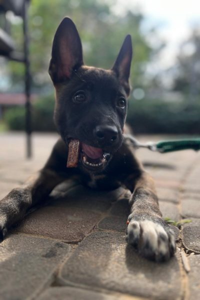 WhatsApp Image 2026-01-14 at 11.39.01 (1)