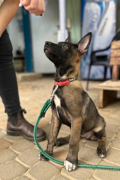 WhatsApp Image 2026-01-14 at 11.39.01