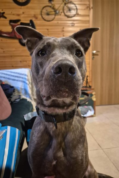 WhatsApp Image 2026-02-15 at 17.12.31 (1)