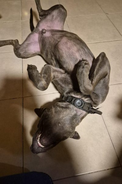 WhatsApp Image 2026-02-15 at 17.12.31