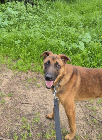 WhatsApp Image 2026-02-17 at 16.02.29