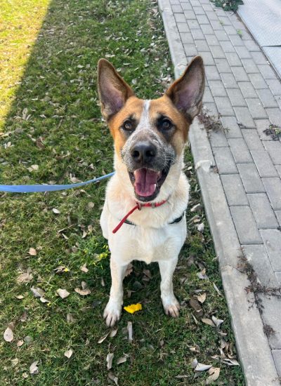 WhatsApp Image 2026-02-20 at 16.51.16