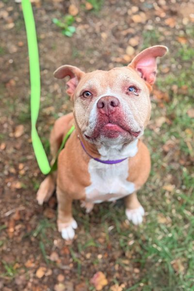 WhatsApp Image 2026-02-23 at 12.31.38 (1)