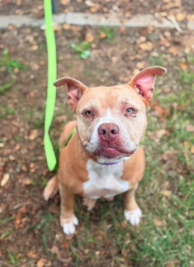 WhatsApp Image 2026-02-23 at 12.31.38