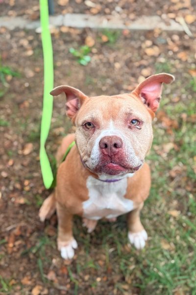 WhatsApp Image 2026-02-23 at 12.31.38