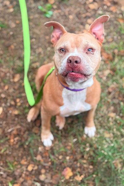 WhatsApp Image 2026-02-23 at 12.31.39