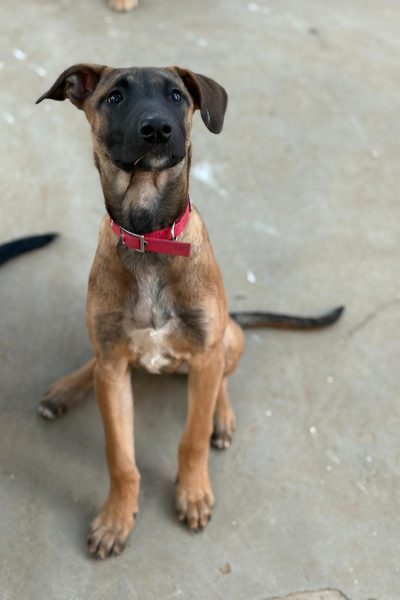 WhatsApp Image 2026-02-23 at 17.41.00