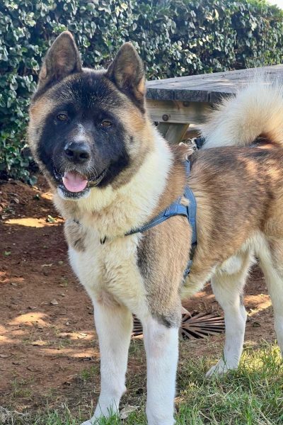 WhatsApp Image 2026-02-23 at 18.17.21