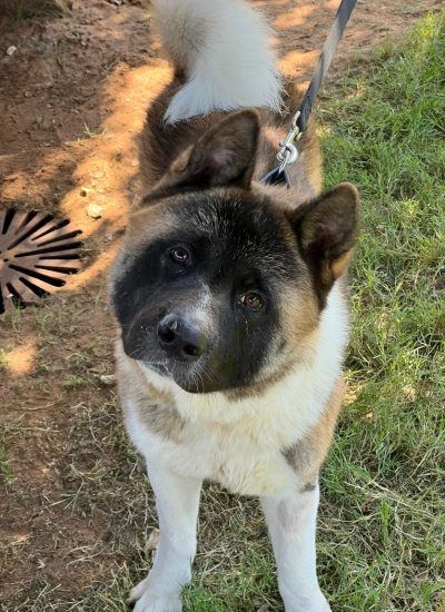 WhatsApp Image 2026-02-23 at 18.17.22 (1)