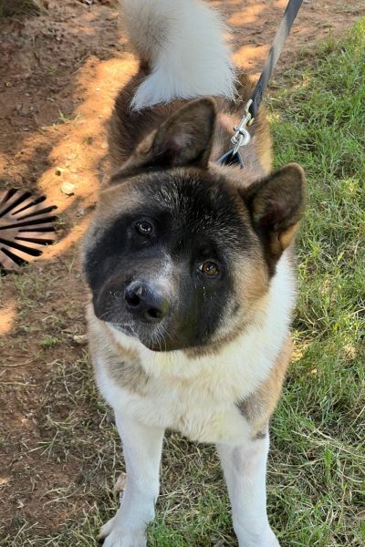 WhatsApp Image 2026-02-23 at 18.17.22 (1)