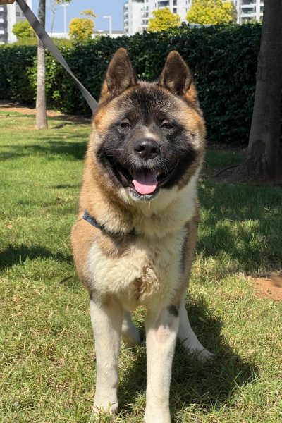 WhatsApp Image 2026-02-23 at 18.17.22 (2)