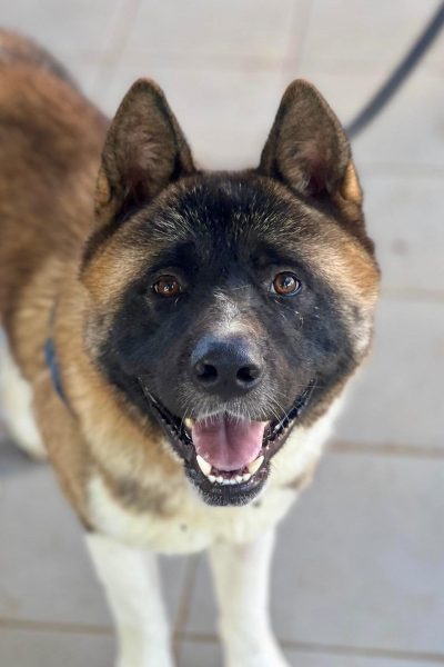 WhatsApp Image 2026-02-23 at 18.17.22