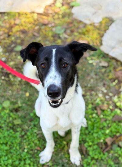 WhatsApp Image 2026-03-02 at 13.38.04 (1)