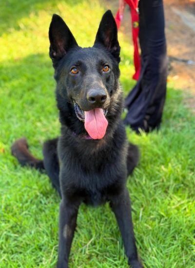 WhatsApp Image 2026-03-02 at 13.50.28