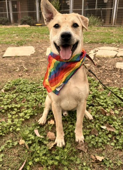 WhatsApp Image 2026-03-02 at 14.00.04