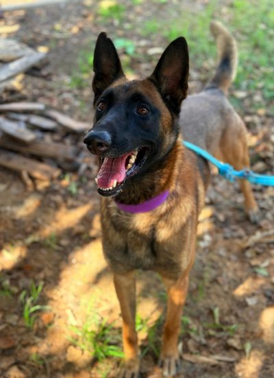 WhatsApp Image 2026-03-02 at 14.11.39 (2)