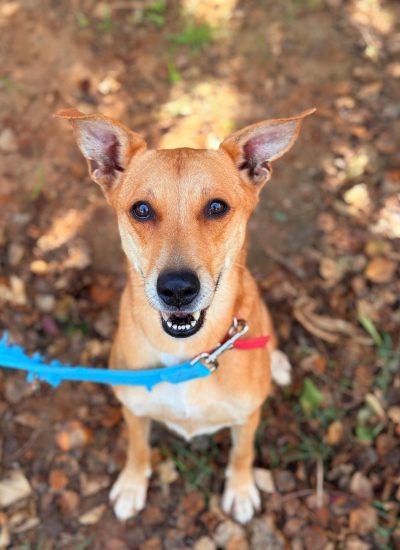 WhatsApp Image 2026-03-02 at 14.18.07 (1)