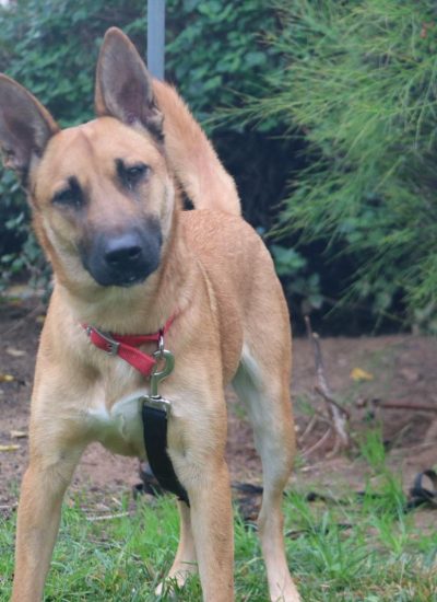 WhatsApp Image 2026-03-02 at 14.31.40 (1)