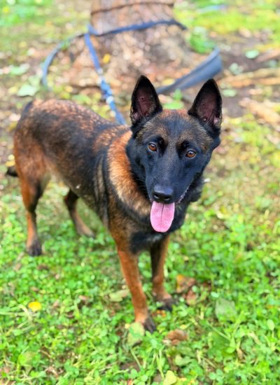 WhatsApp Image 2026-03-02 at 14.40.33 (2)