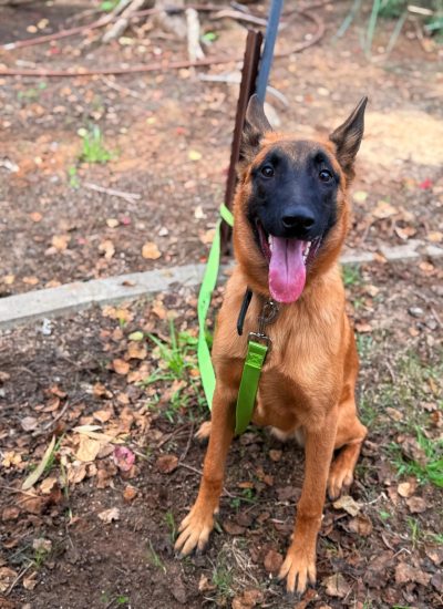 WhatsApp Image 2026-03-02 at 14.44.07 (1)