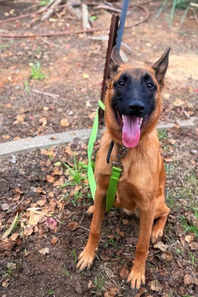 WhatsApp Image 2026-03-02 at 14.44.07 (1)