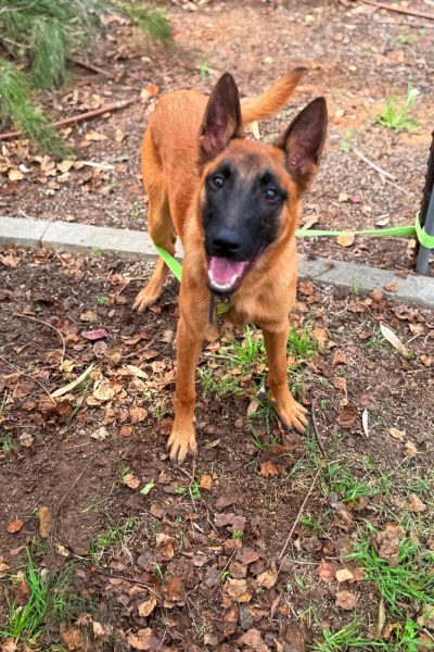 WhatsApp Image 2026-03-02 at 14.44.07 (2)