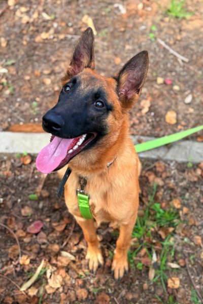 WhatsApp Image 2026-03-02 at 14.44.07 (3)