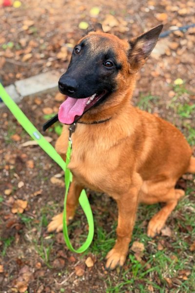 WhatsApp Image 2026-03-02 at 14.44.07