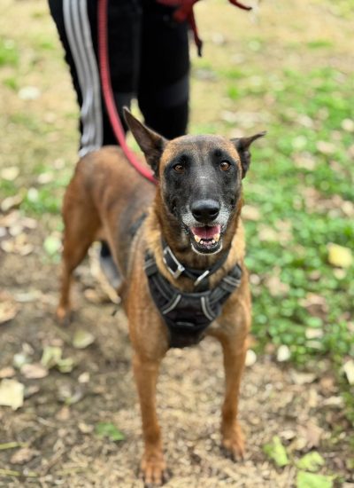 WhatsApp Image 2026-03-02 at 14.50.15