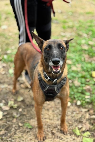 WhatsApp Image 2026-03-02 at 14.50.15