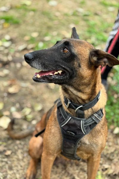 WhatsApp Image 2026-03-02 at 14.50.16