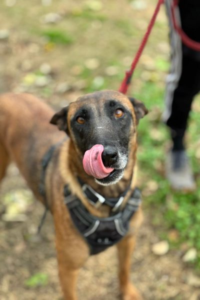 WhatsApp Image 2026-03-02 at 14.50.17 (1)