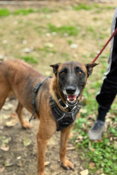 WhatsApp Image 2026-03-02 at 14.50.17 (2)