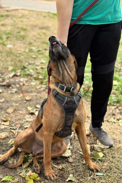 WhatsApp Image 2026-03-02 at 14.50.17 (3)