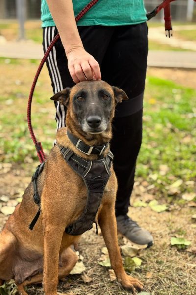 WhatsApp Image 2026-03-02 at 14.50.17