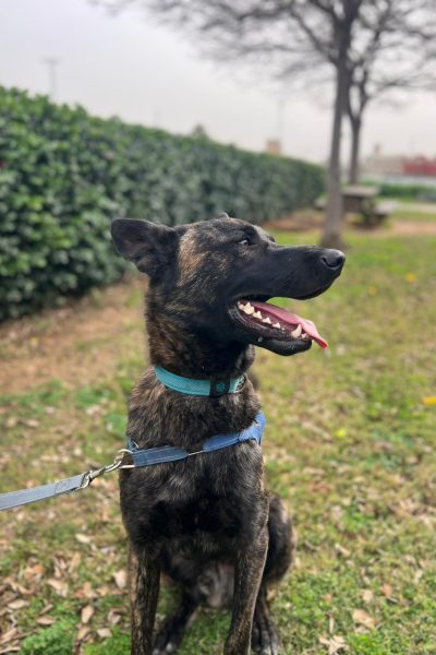 WhatsApp Image 2026-03-02 at 15.06.19 (1)